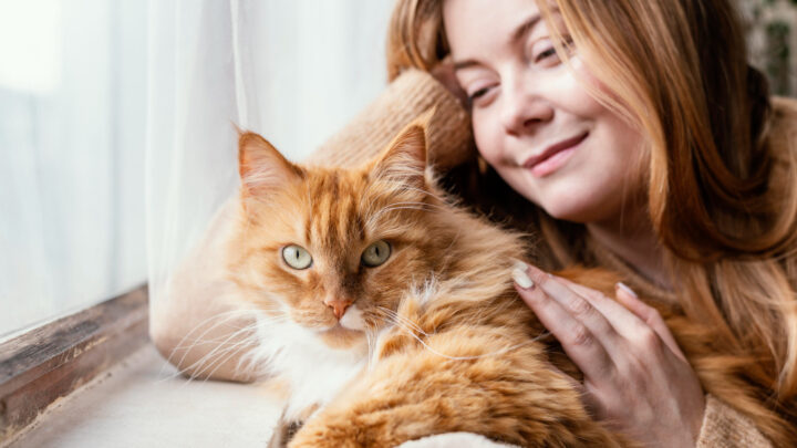 Kot w domu: jak zapewnić mu zdrowie, szczęście i harmonię